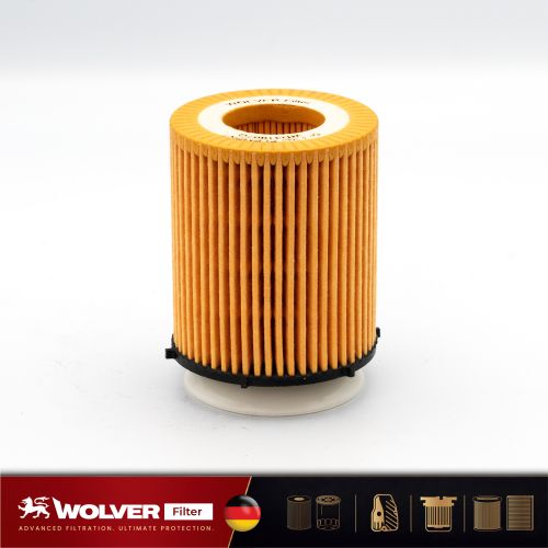 Lọc Nhớt Động Cơ: Wolver WO31007G